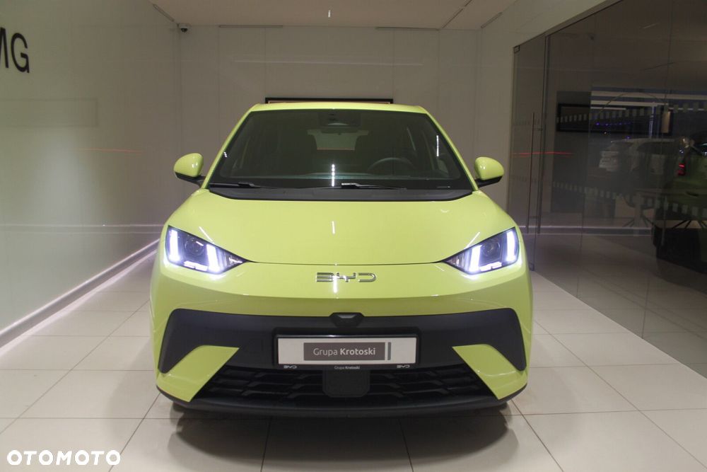 BYD Dolphin Surf - 10