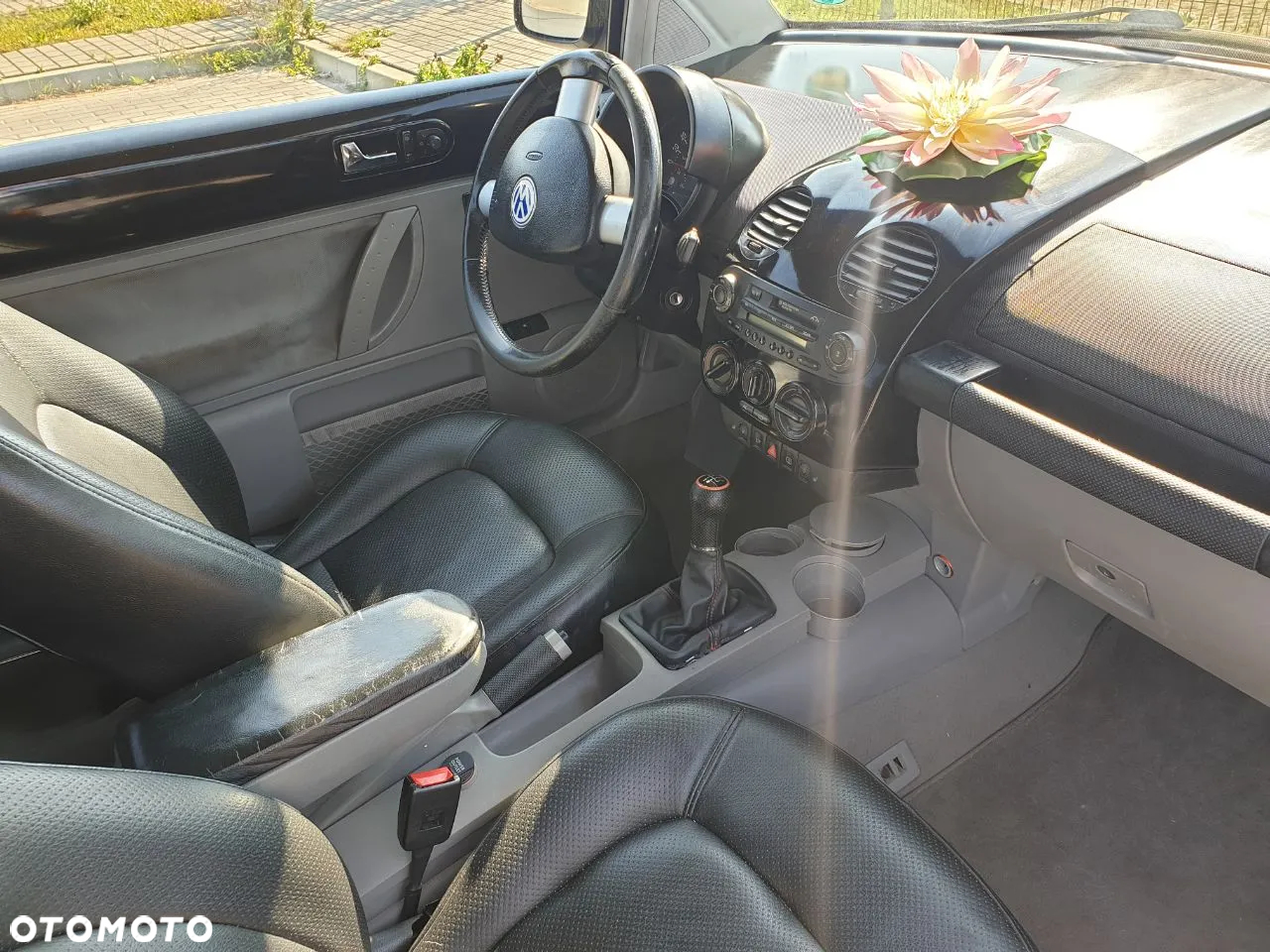 Volkswagen Beetle - 7