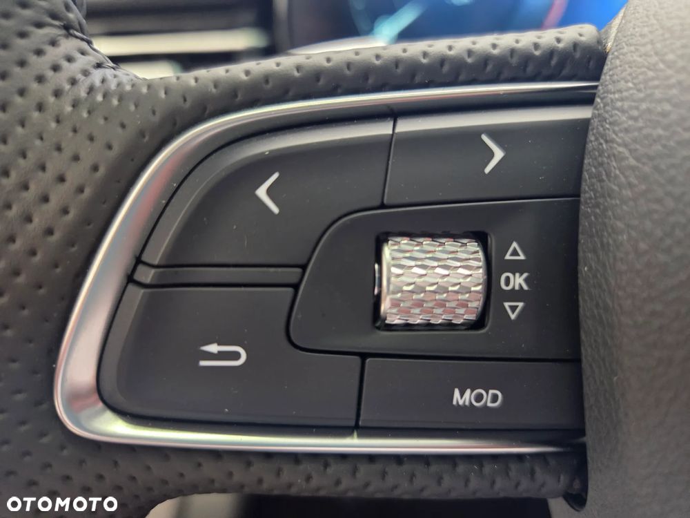 Hongqi HS5 2.0T Executive AWD - 21