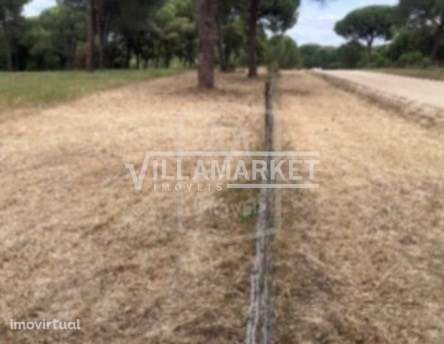Terreno rústico da banca com 33300 m2 situado na Herdade da Sesmaria d - Grande imagem: 4/6