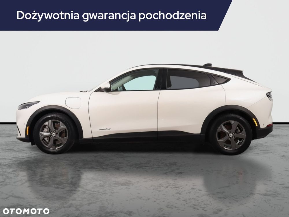 Ford Mustang - 4