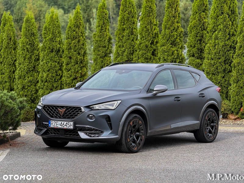 Cupra Formentor 2.0 TDI 4Drive DSG - 13