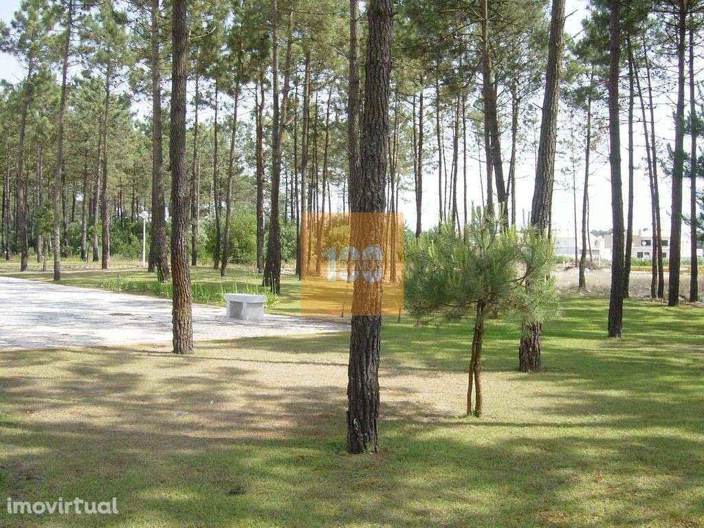 Moradia T3 no Furadouro - Grande imagem: 5/19