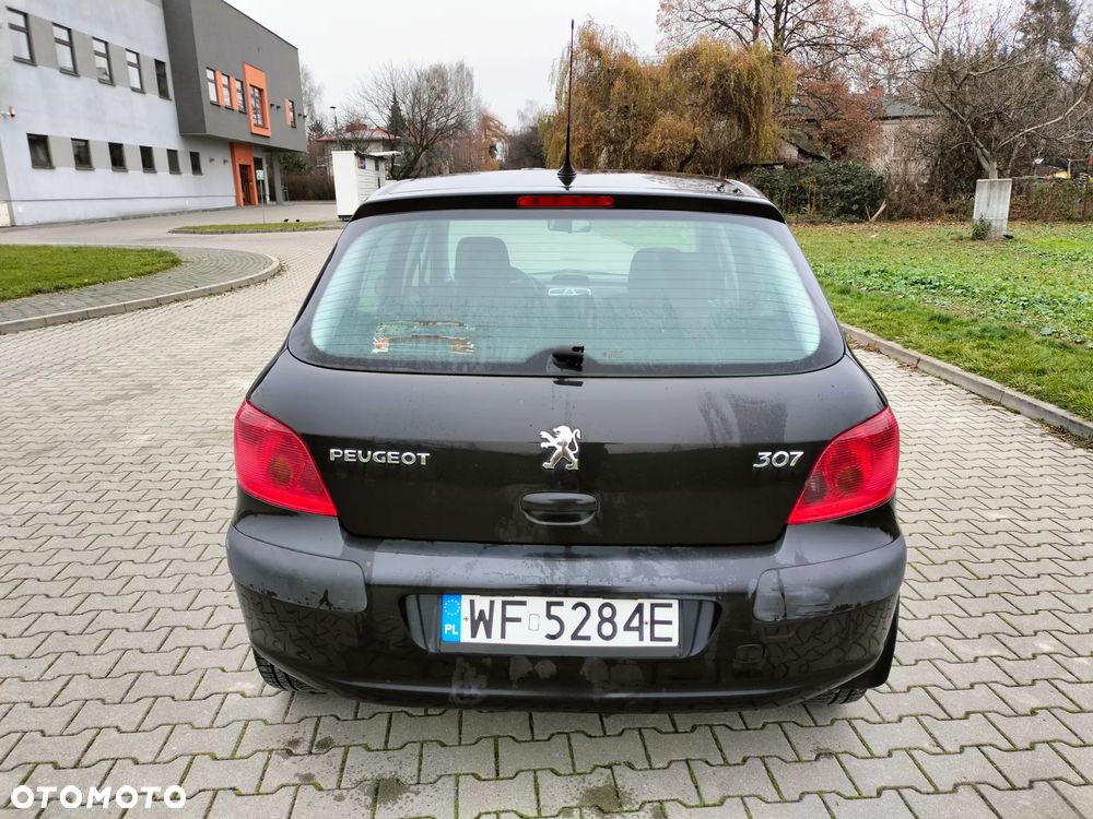 Peugeot 307 1.6 XS - 12