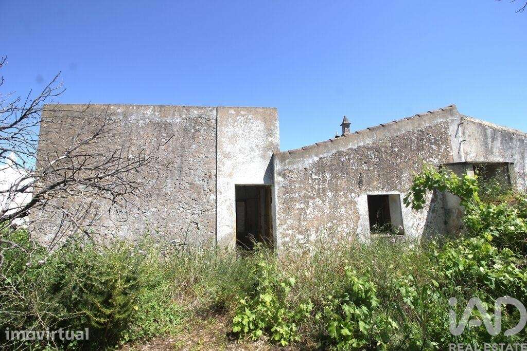 Terreno em Ferreiras de 240,00 m2 - Grande imagem: 3/29