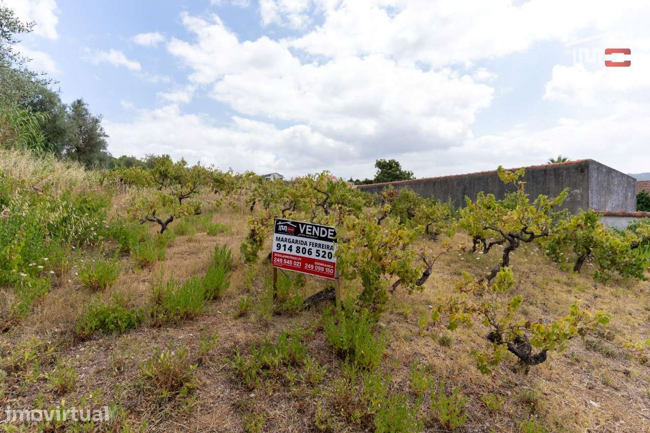 TERRENO COM 2033,85 m² EM ATOUGUIA - Grande imagem: 3/16