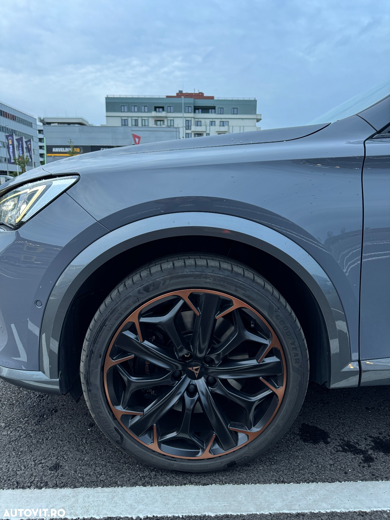 Cupra Formentor VZ 2.0 TSI 4DRIVE DSG - 6