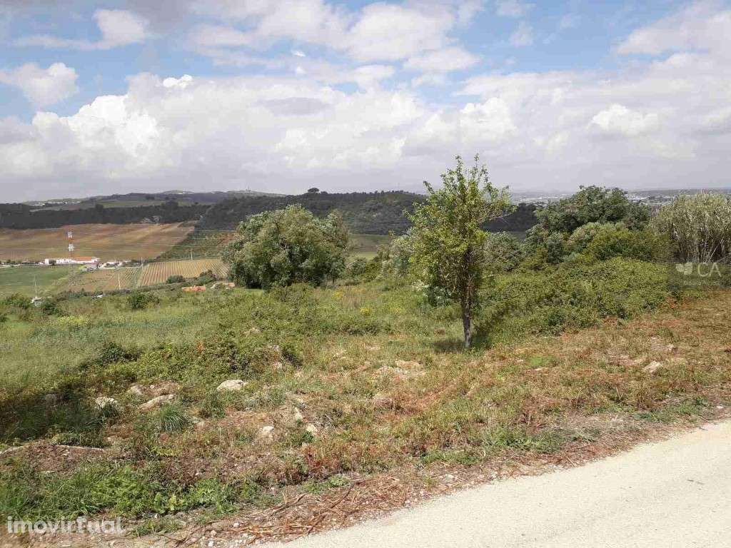 Quinta de Cima - Grande imagem: 2/3