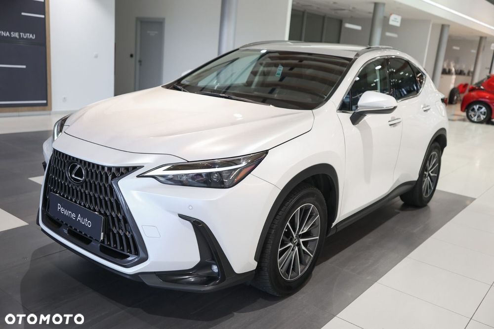 Lexus NX - 27