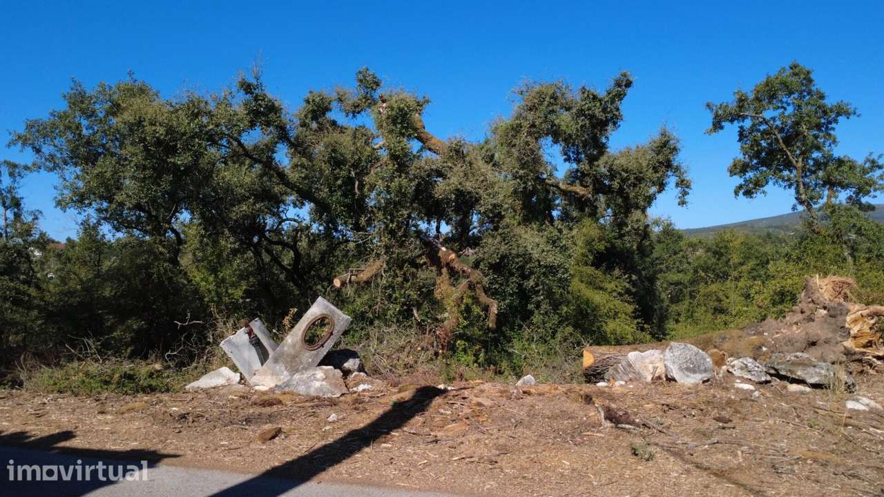 Terreno para Construção em Santiago da Guarda – Ansião - Grande imagem: 4/10