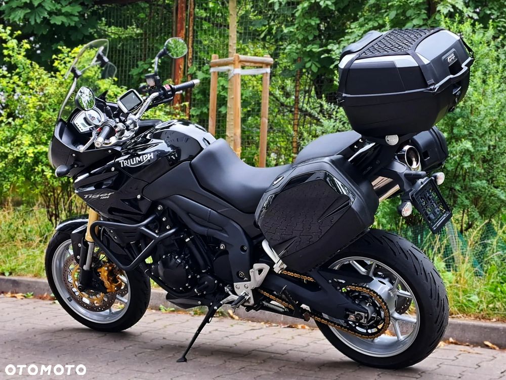 Triumph Tiger - 17