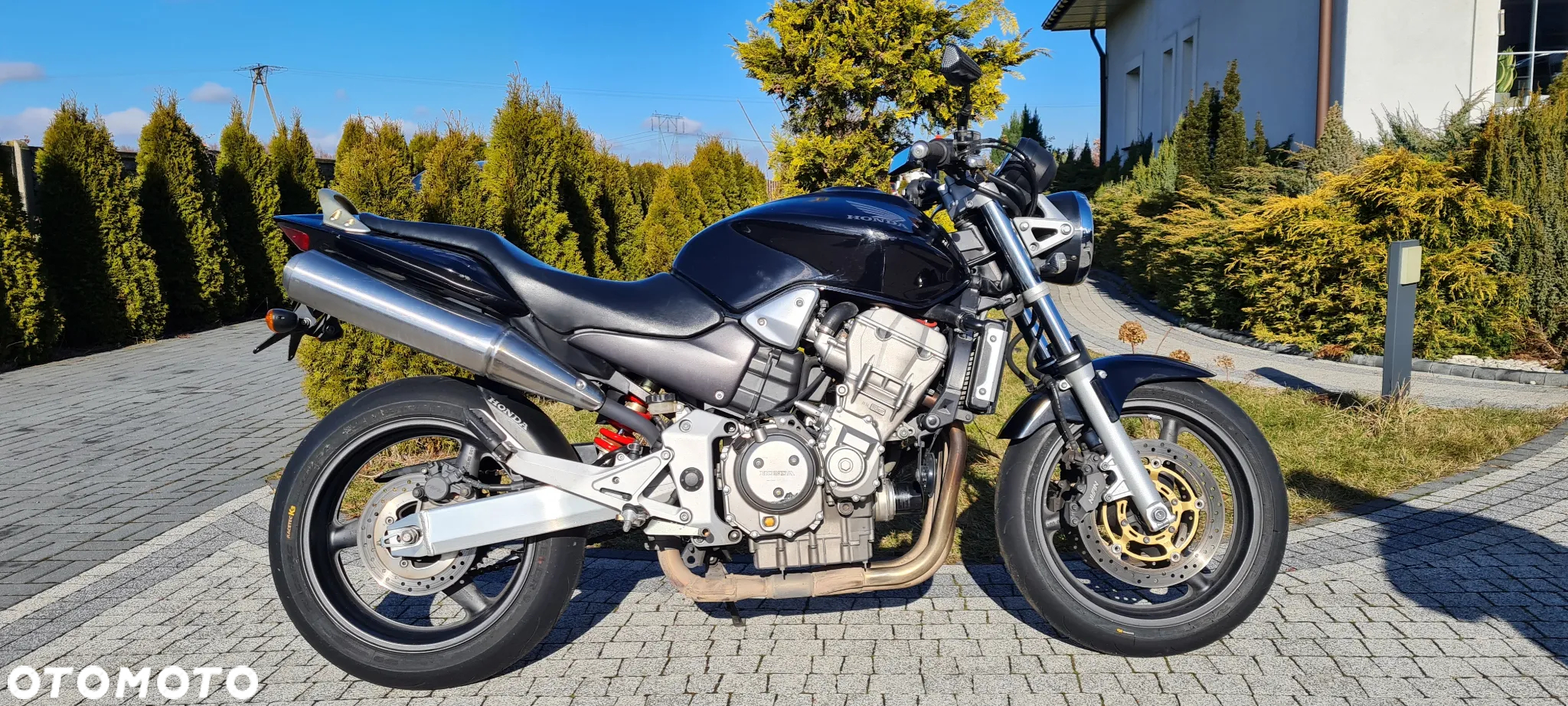 Honda Hornet - 12