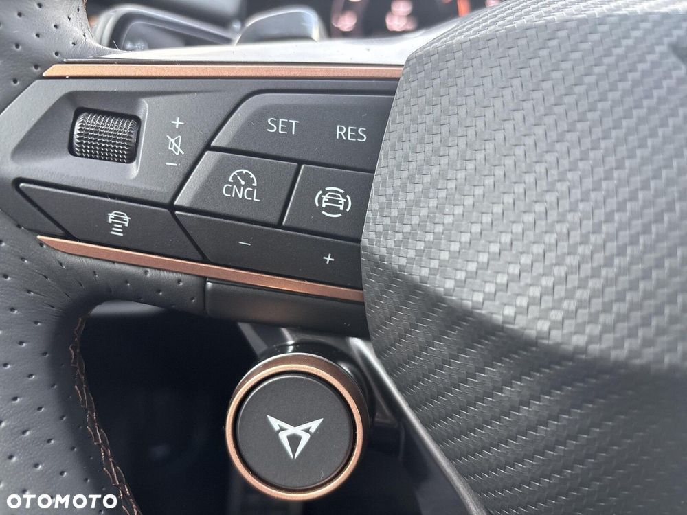 Cupra Terramar - 23