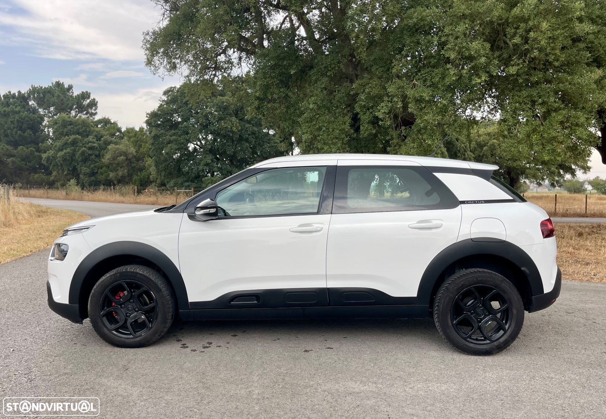 Citroën C4 Cactus 1.5 BlueHDi Feel - 9