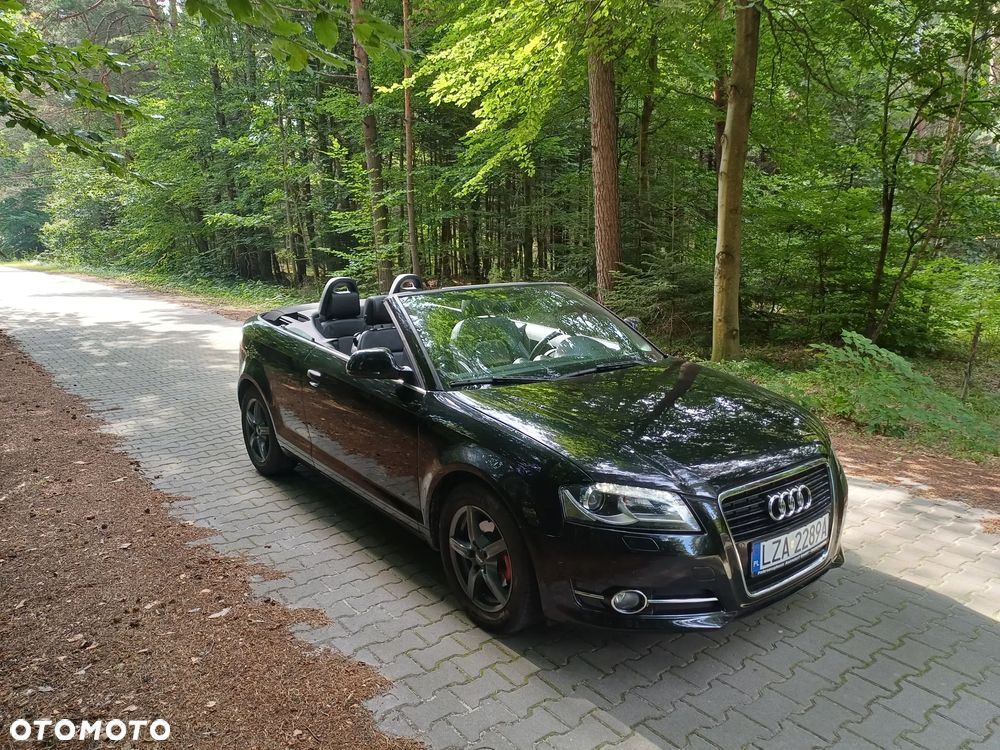 Audi A3 Cabrio 1.9 TDI DPF Ambition - 7