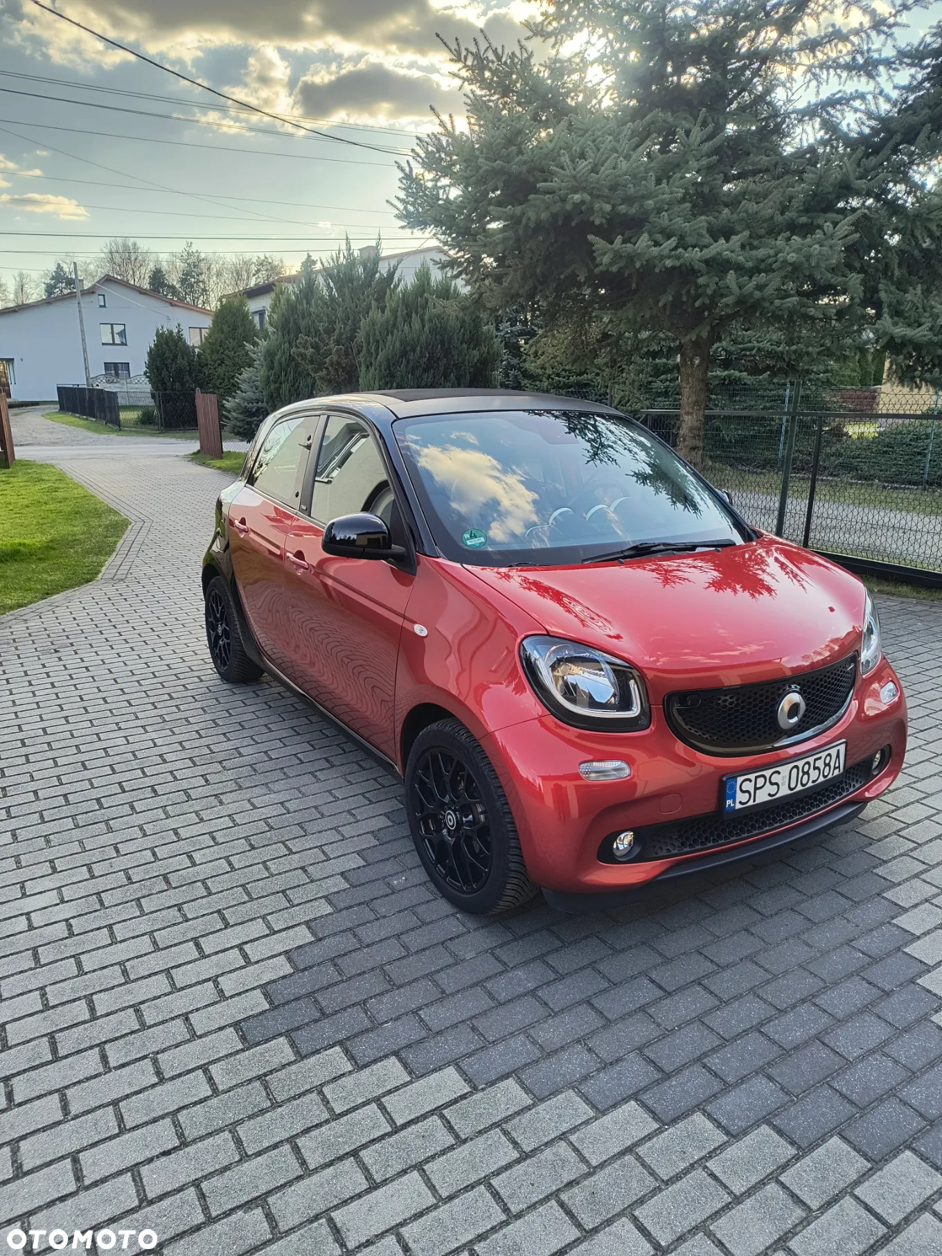 Smart Forfour passion - 2