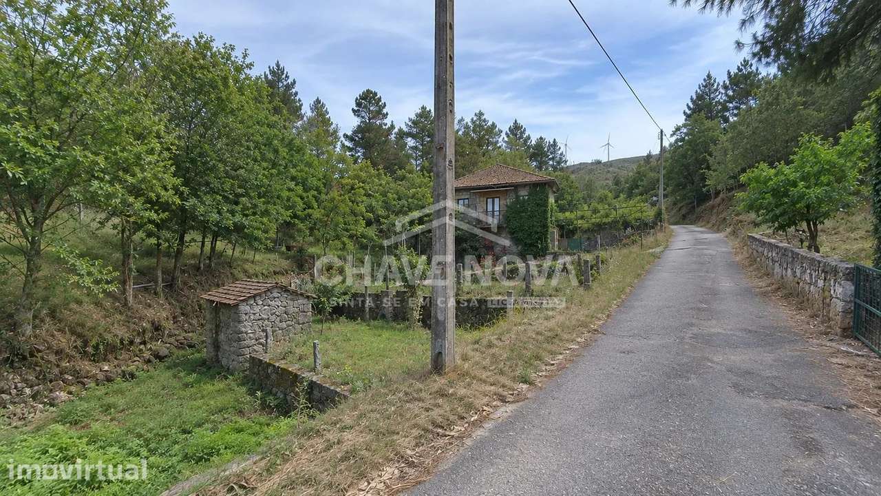Terrenos c/ casa Rustica-Oportunidade de Investirmento. V.P.Aguiar . - Grande imagem: 2/5