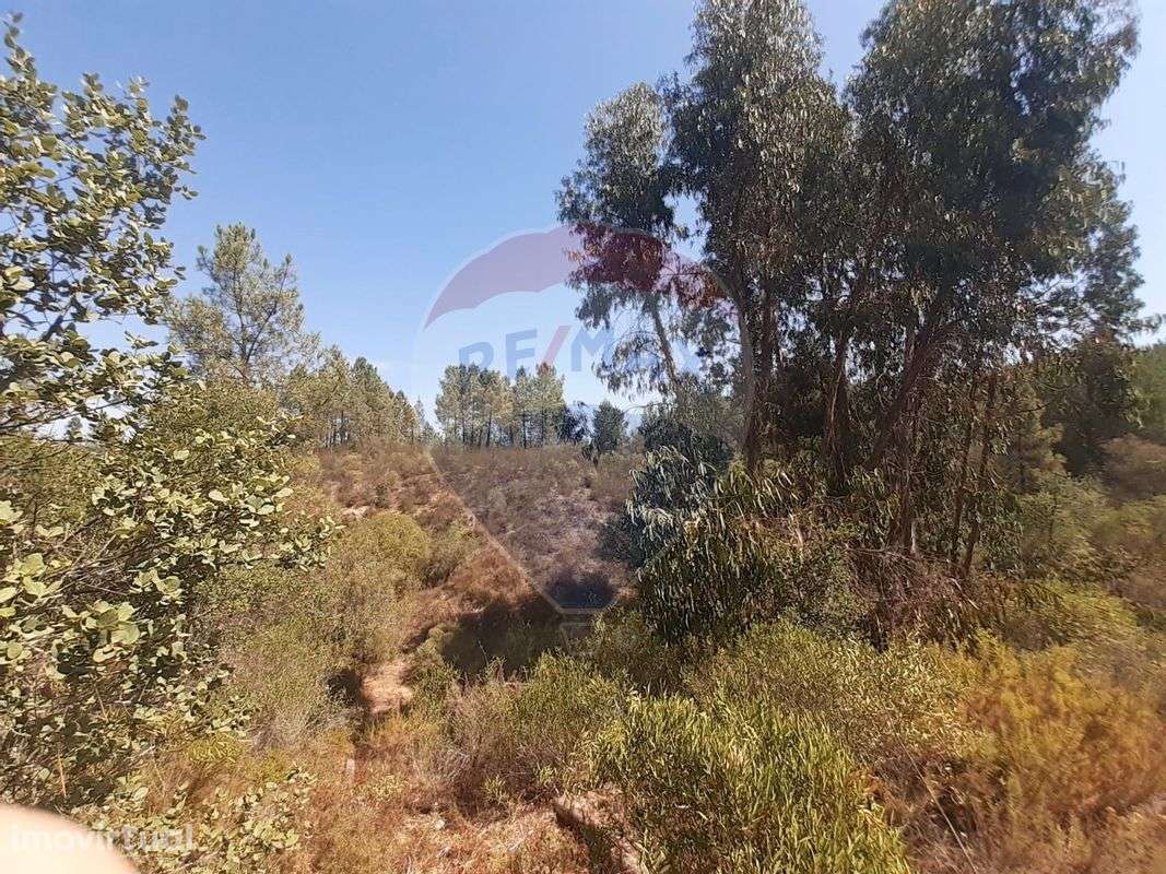 Terreno  para venda - Grande imagem: 3/3