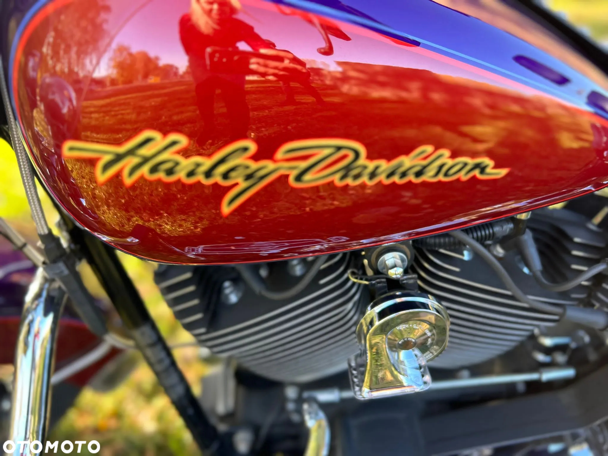 Harley-Davidson Softail - 2