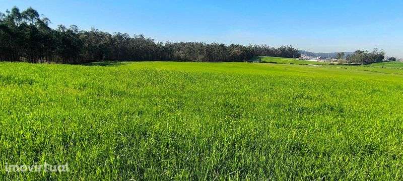 Terreno agrícola à venda – Rio Mau, Vila do Conde – 37.544 m² - Grande imagem: 2/4