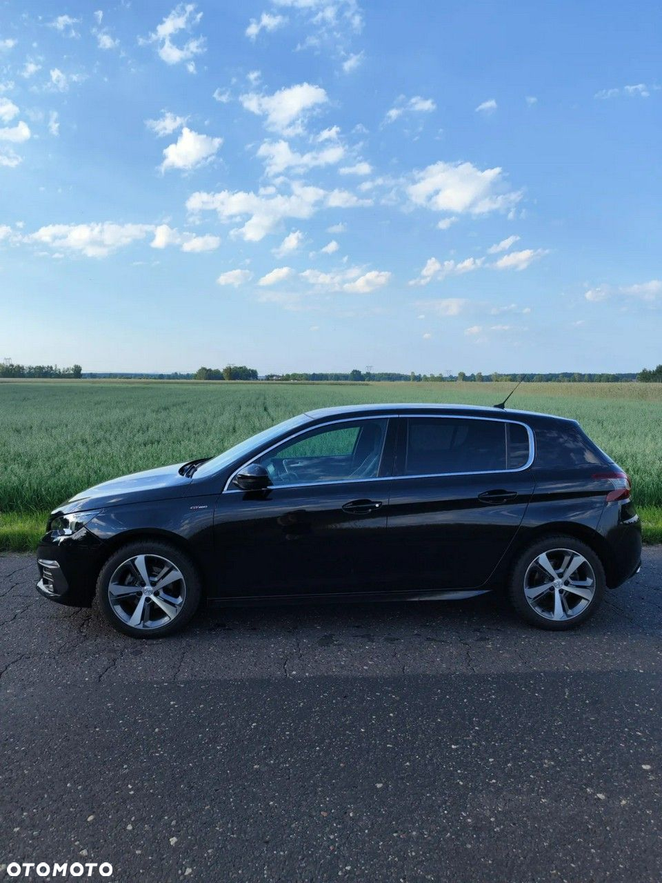 Peugeot 308 1.5 BlueHDi GT Pack S&S EAT8 - 8
