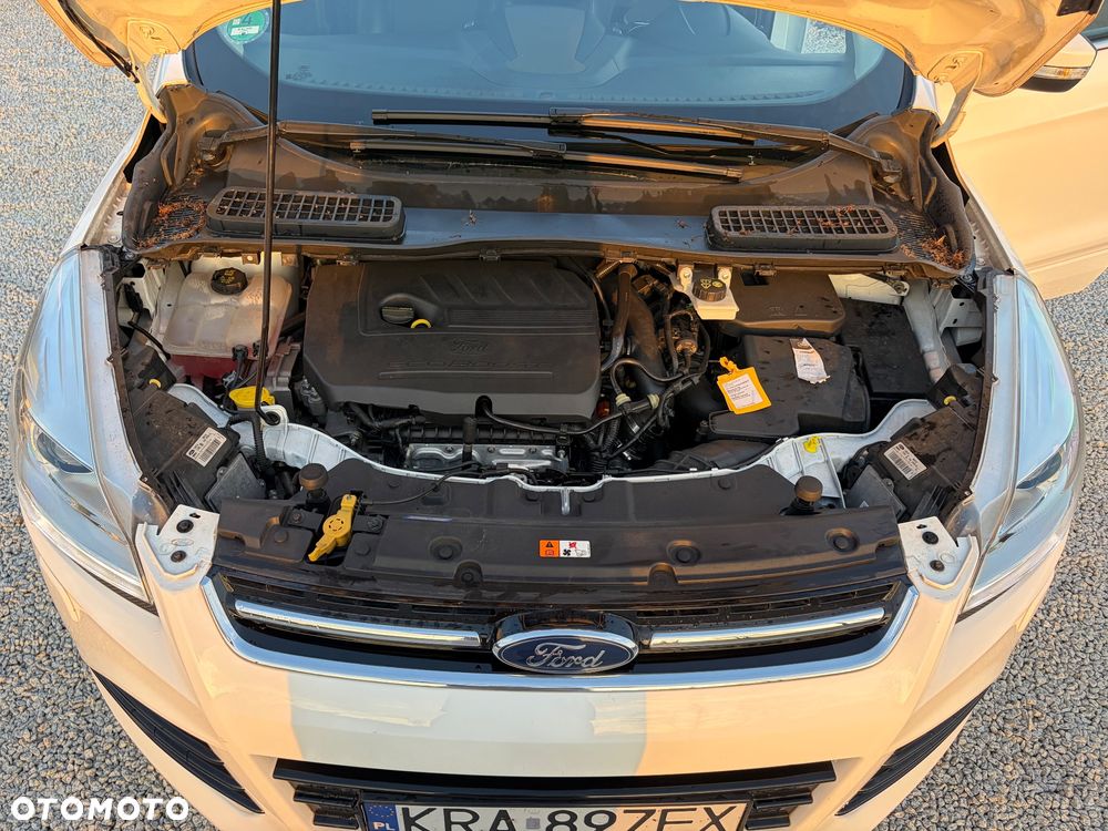 Ford Kuga 1.5 EcoBoost FWD Edition ASS MMT6 - 26