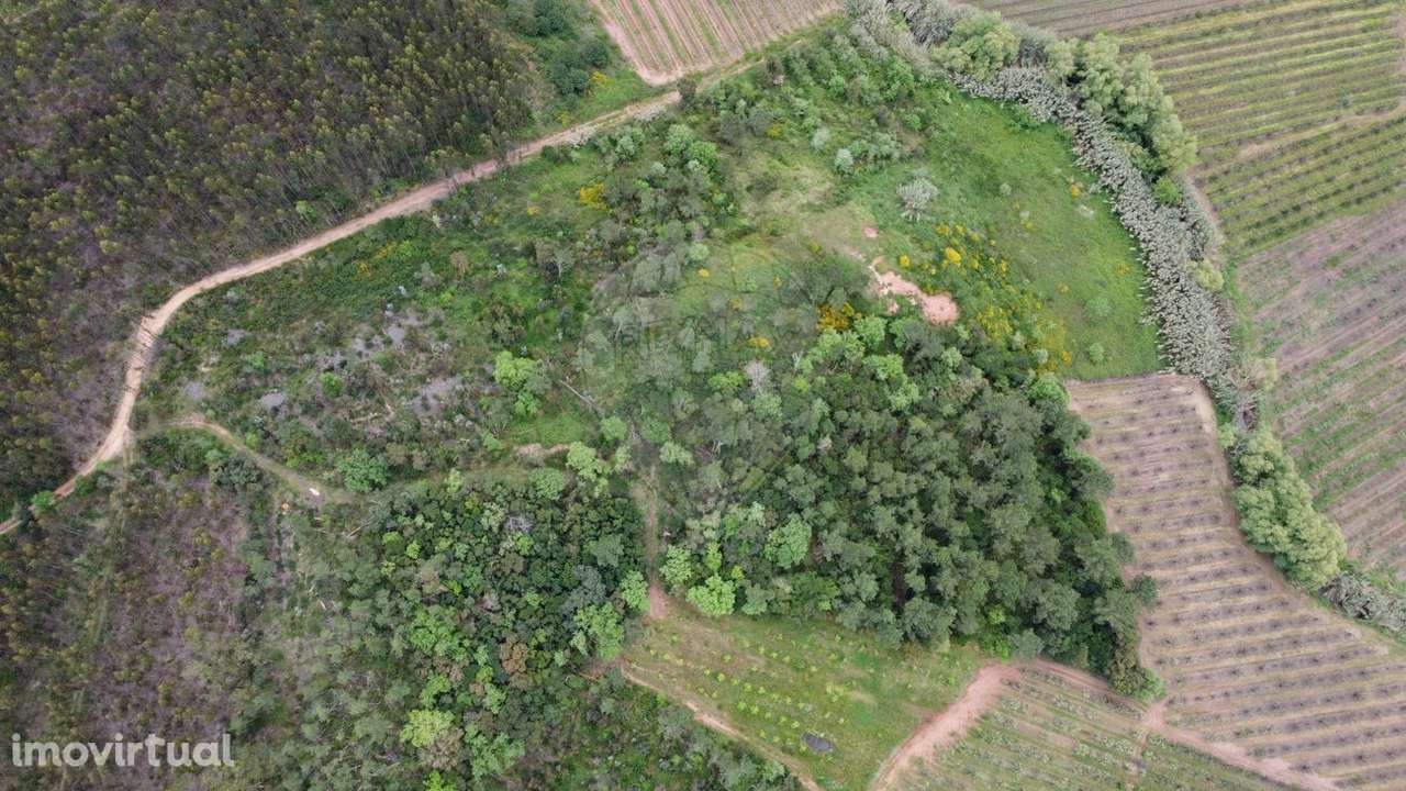 Terreno  para venda - Grande imagem: 4/16