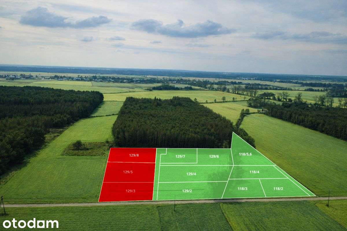 Działki budowlane w otulinie lasu - Pełny obrazek: 3/7