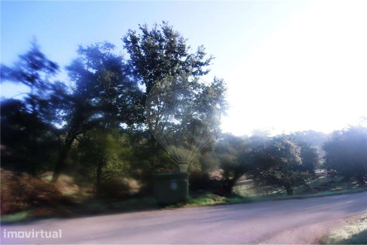 Terreno T0 para venda - Grande imagem: 2/5