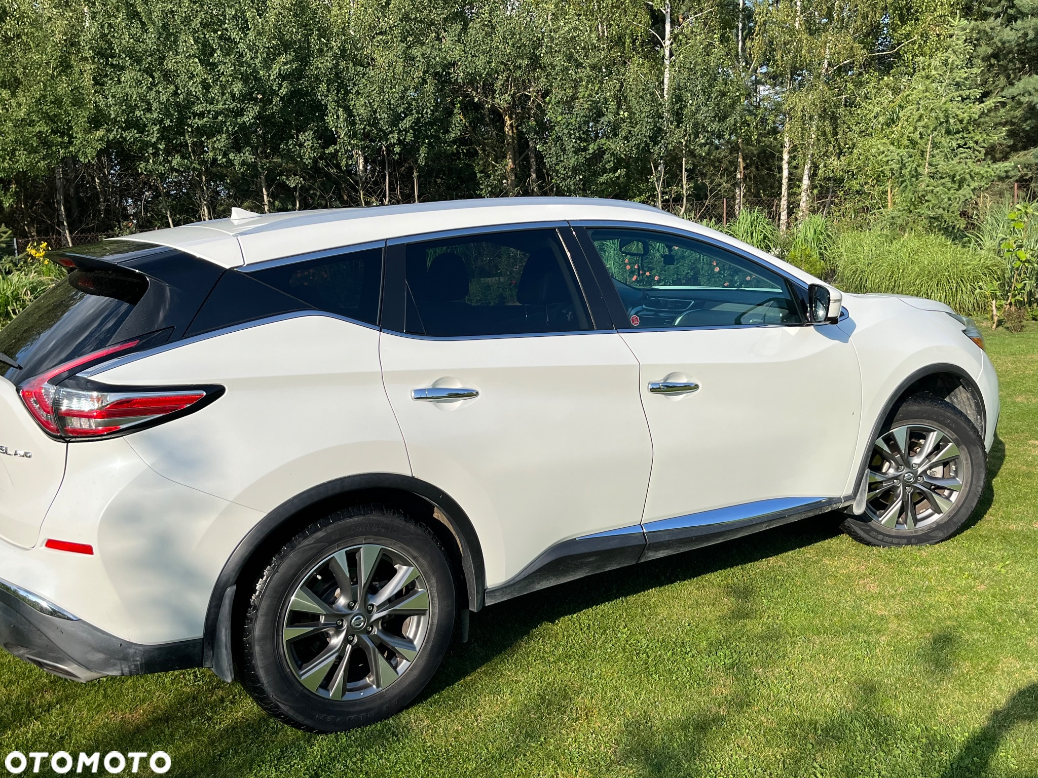 Nissan Murano 3.5 V6 Premium - 19