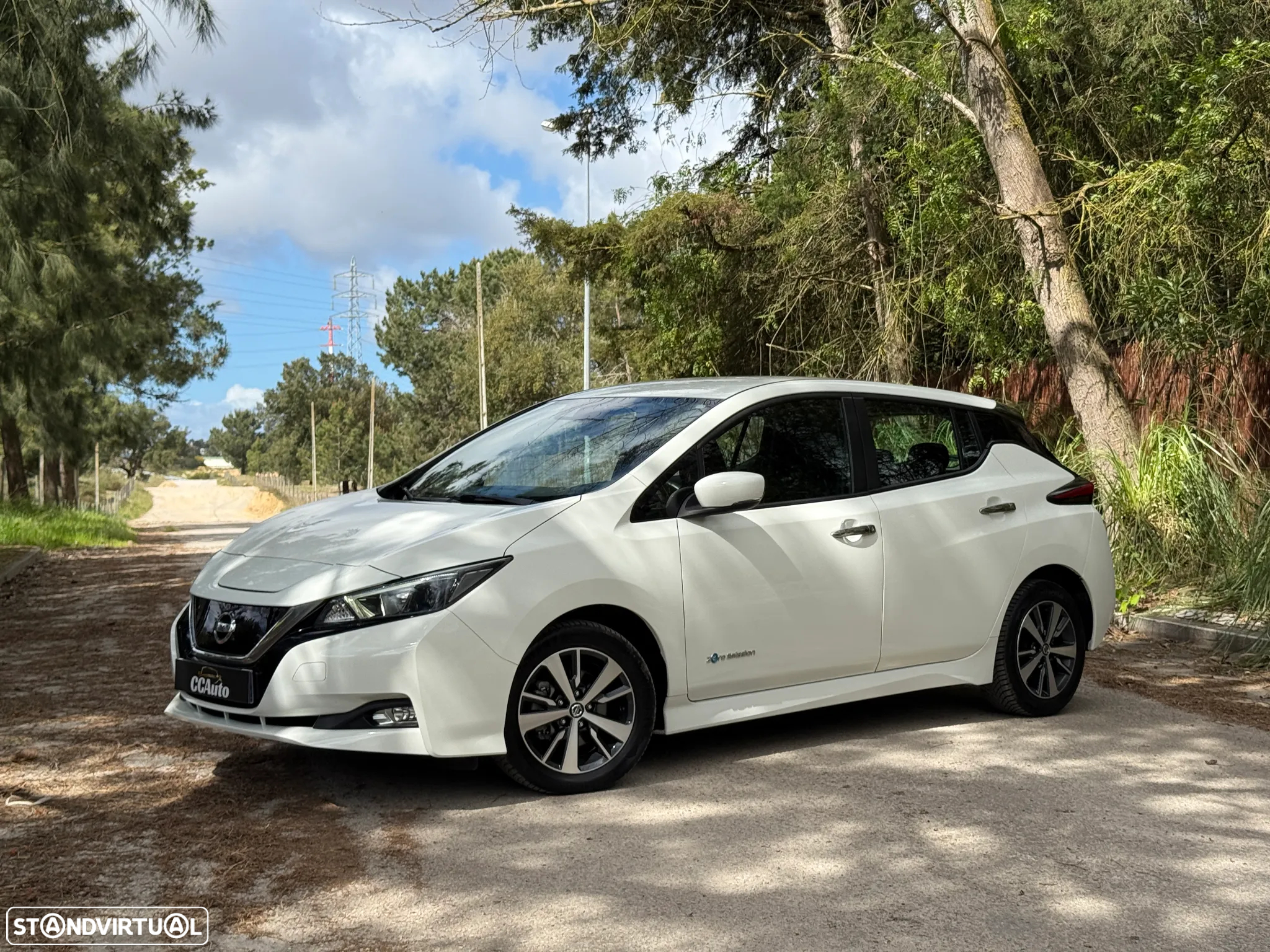 Nissan Leaf Acenta - 2