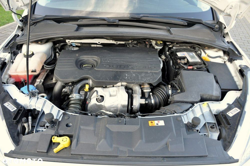 Ford Focus - 38