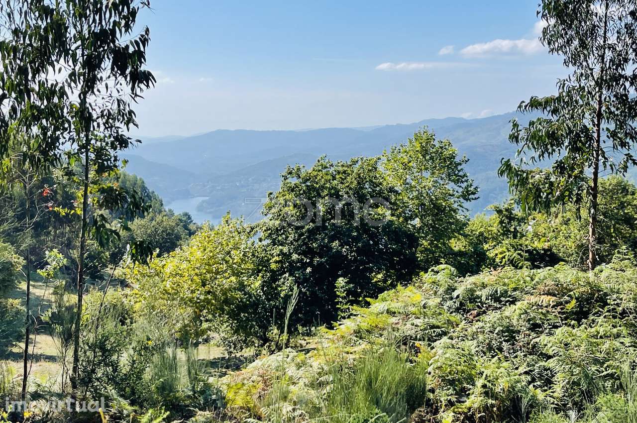 Terreno Rustico com 1.804 M2 (vistas rio) Vieira do Minho - Grande imagem: 4/48