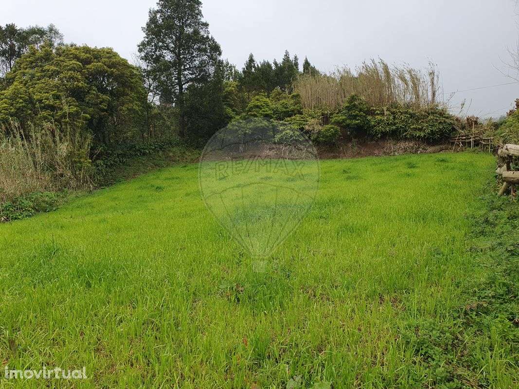 Terreno  para venda - Grande imagem: 3/3