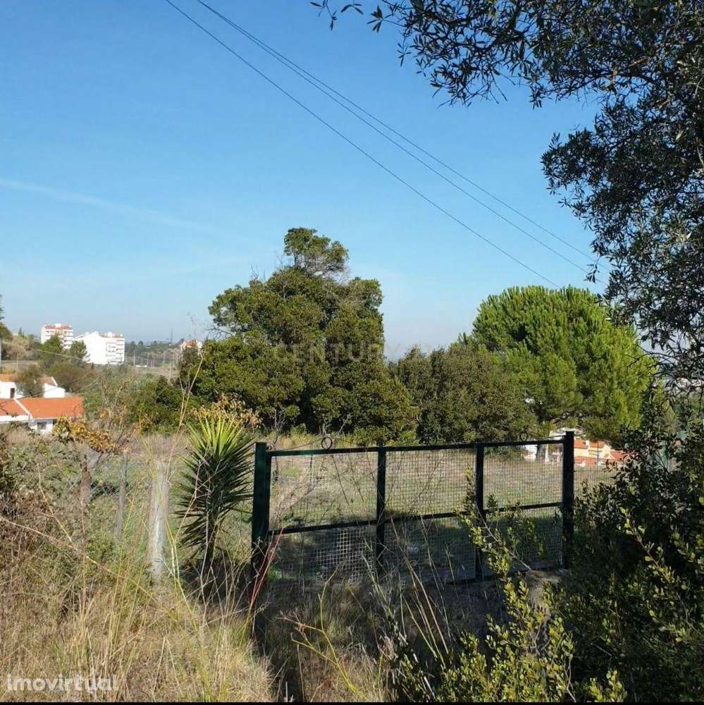 Fantástico e grandioso terreno em Alenquer - Grande imagem: 3/12
