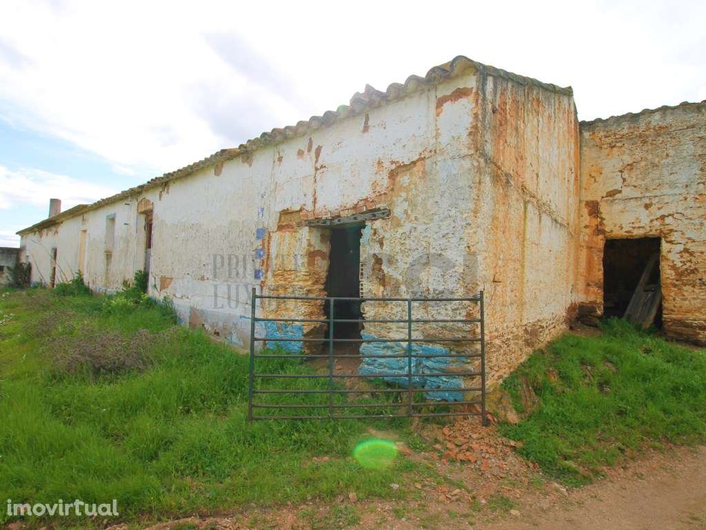 Herdade em Vila Nova de São Bento - Serpa com mais de 100 hectares ... - Grande imagem: 3/60