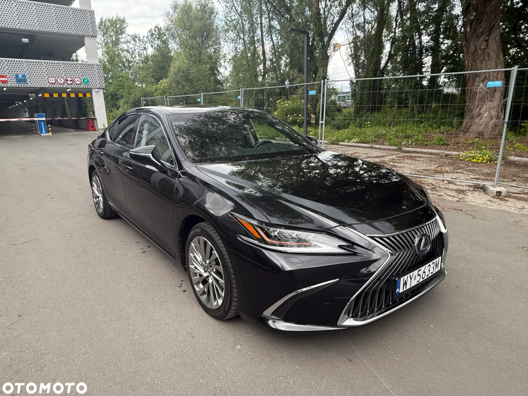 Lexus ES 300h Omotenashi - 6