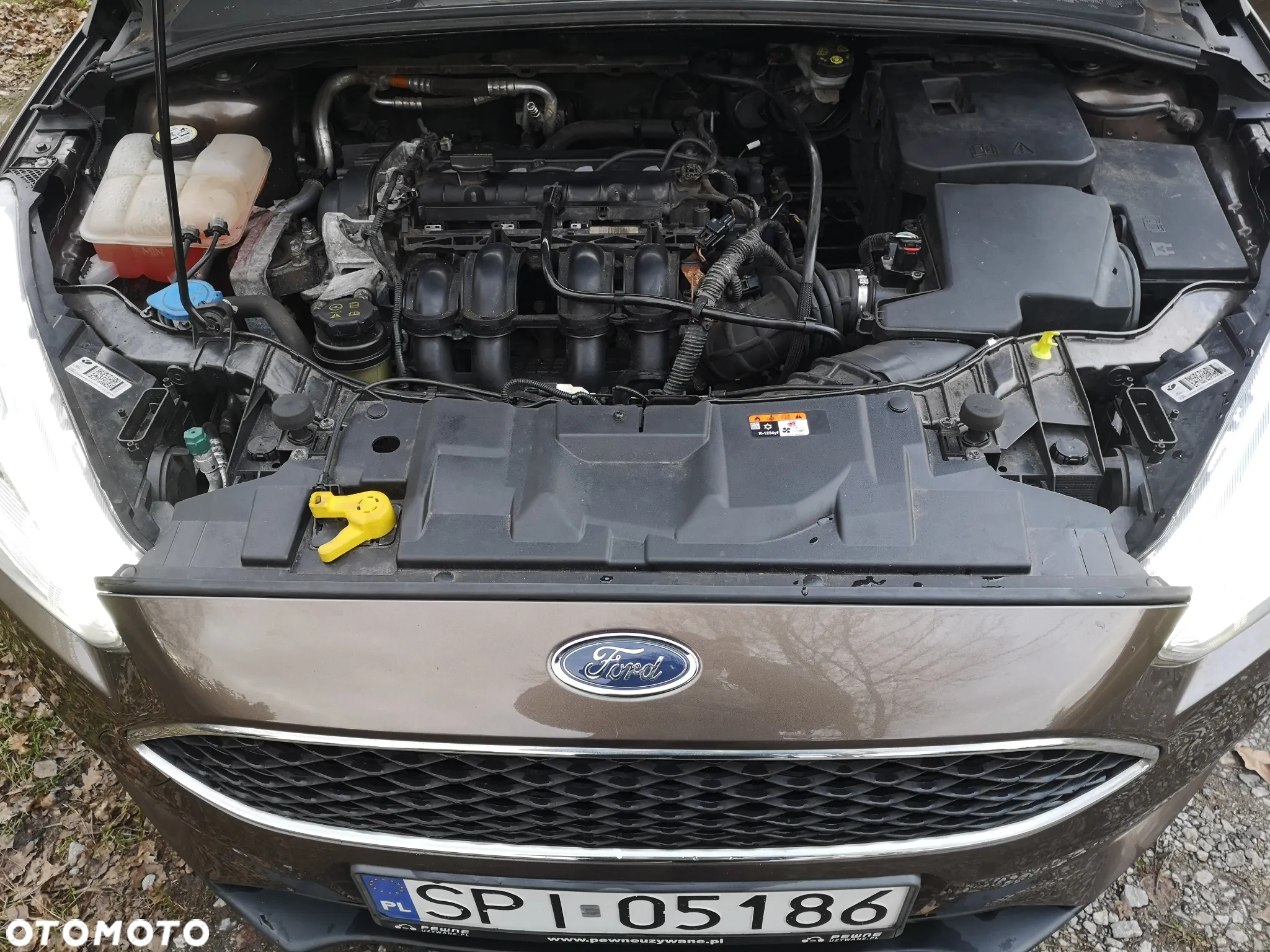Ford Focus - 32