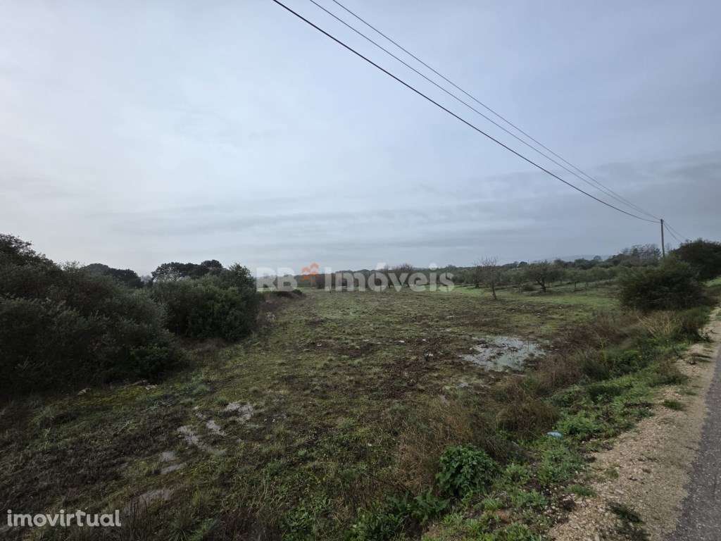 Terreno rústico com 4.080m2 - Soudos, Torres Novas - Grande imagem: 3/7