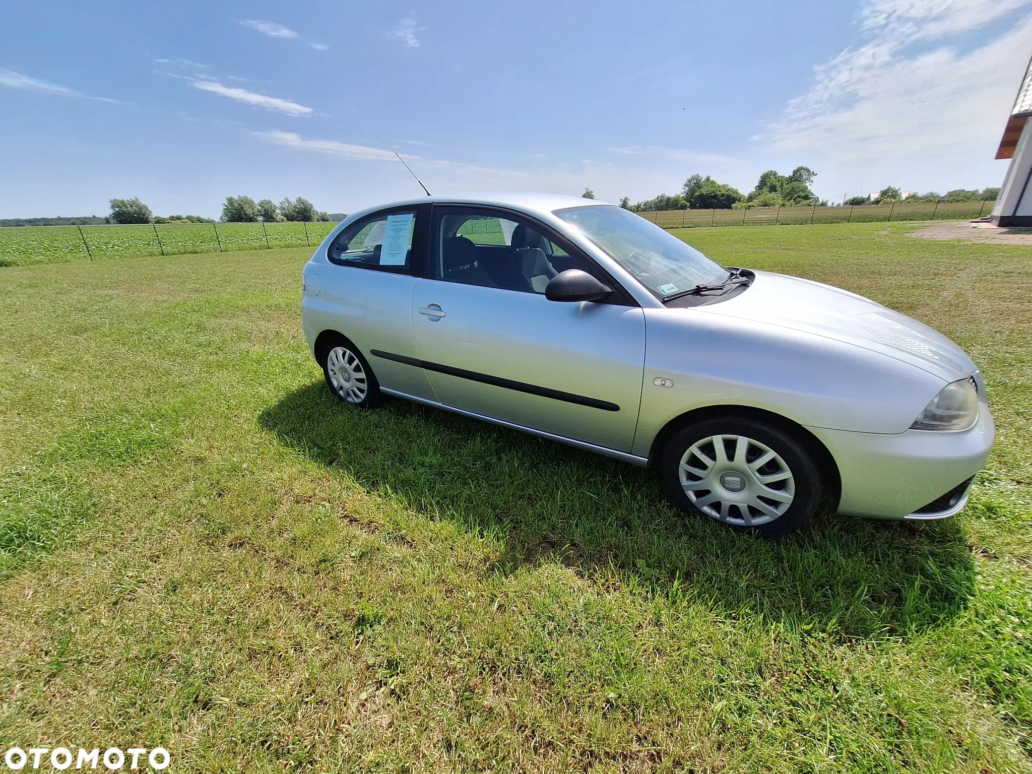 Seat Ibiza - 6