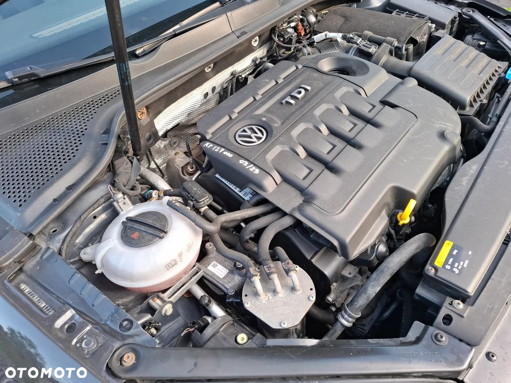 Volkswagen Golf - 21