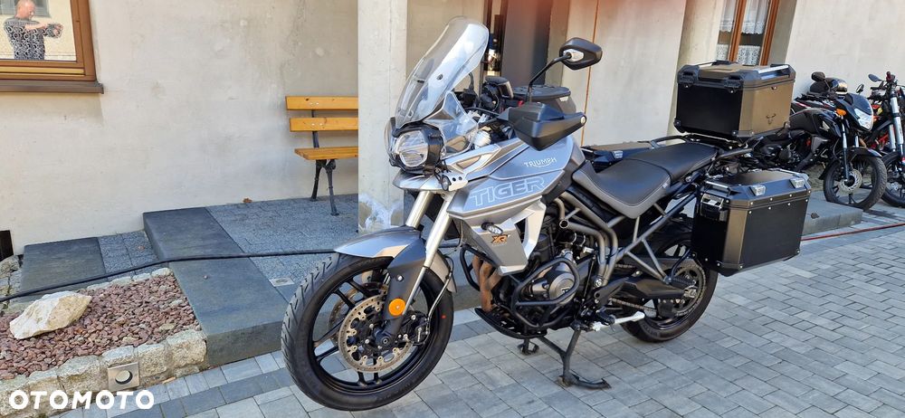 Triumph Tiger - 3