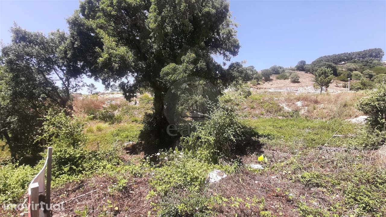Lote de Terreno na Venda  do Pinheiro - Grande imagem: 2/4