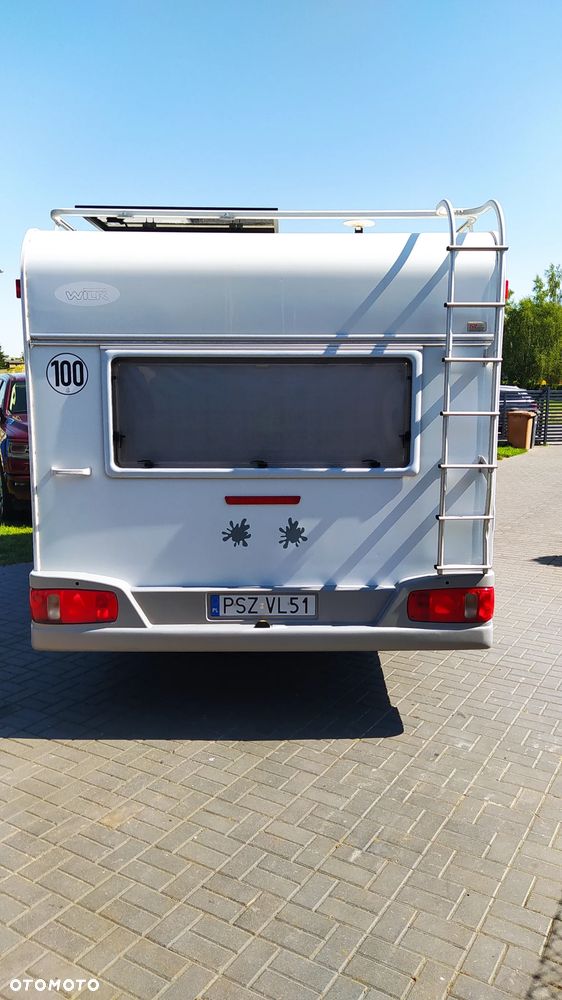 Wilk sport - 12