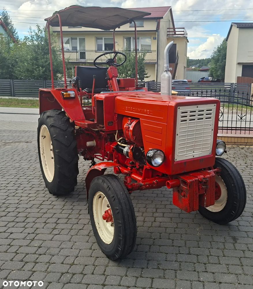 Belarus WŁADIMIREC RUSKI T-25 - 4