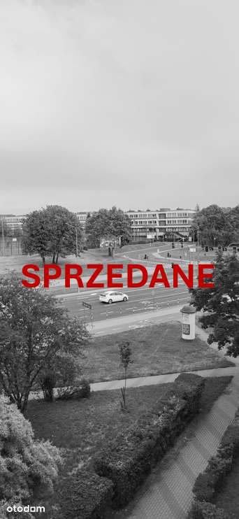 Bezpośrednio, mieszkanie przy Wiejskiej, naprzeciw Politechniki