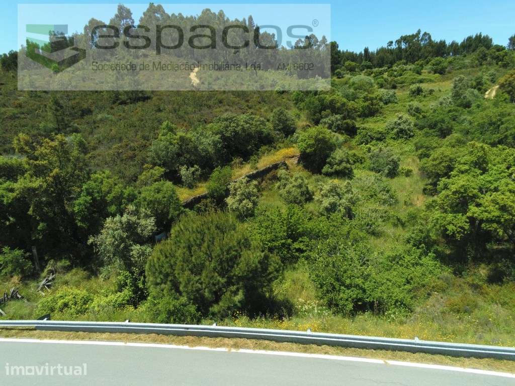 Quinta das Brejas - Fratel - Grande imagem: 4/11