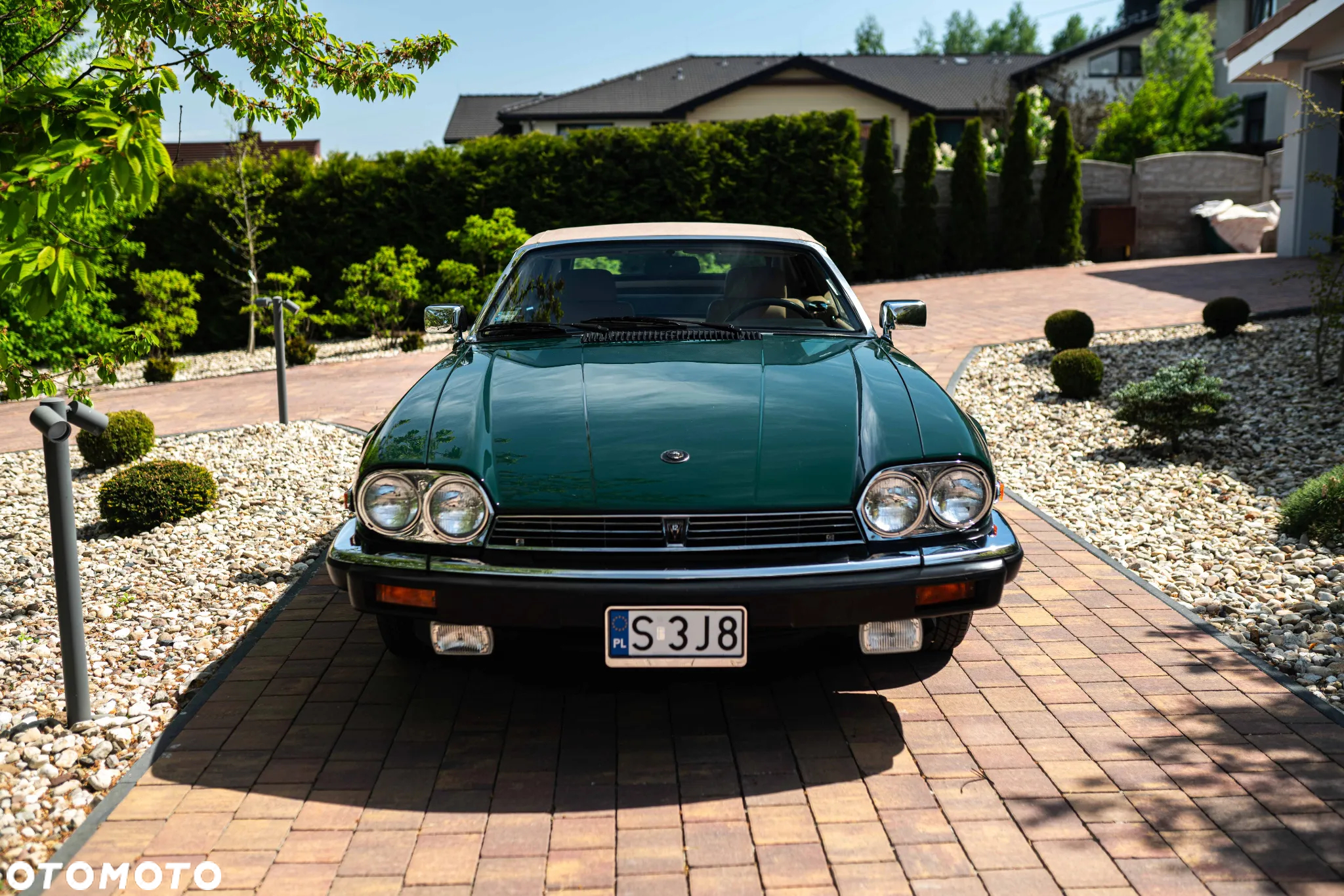 Jaguar XJS - 5