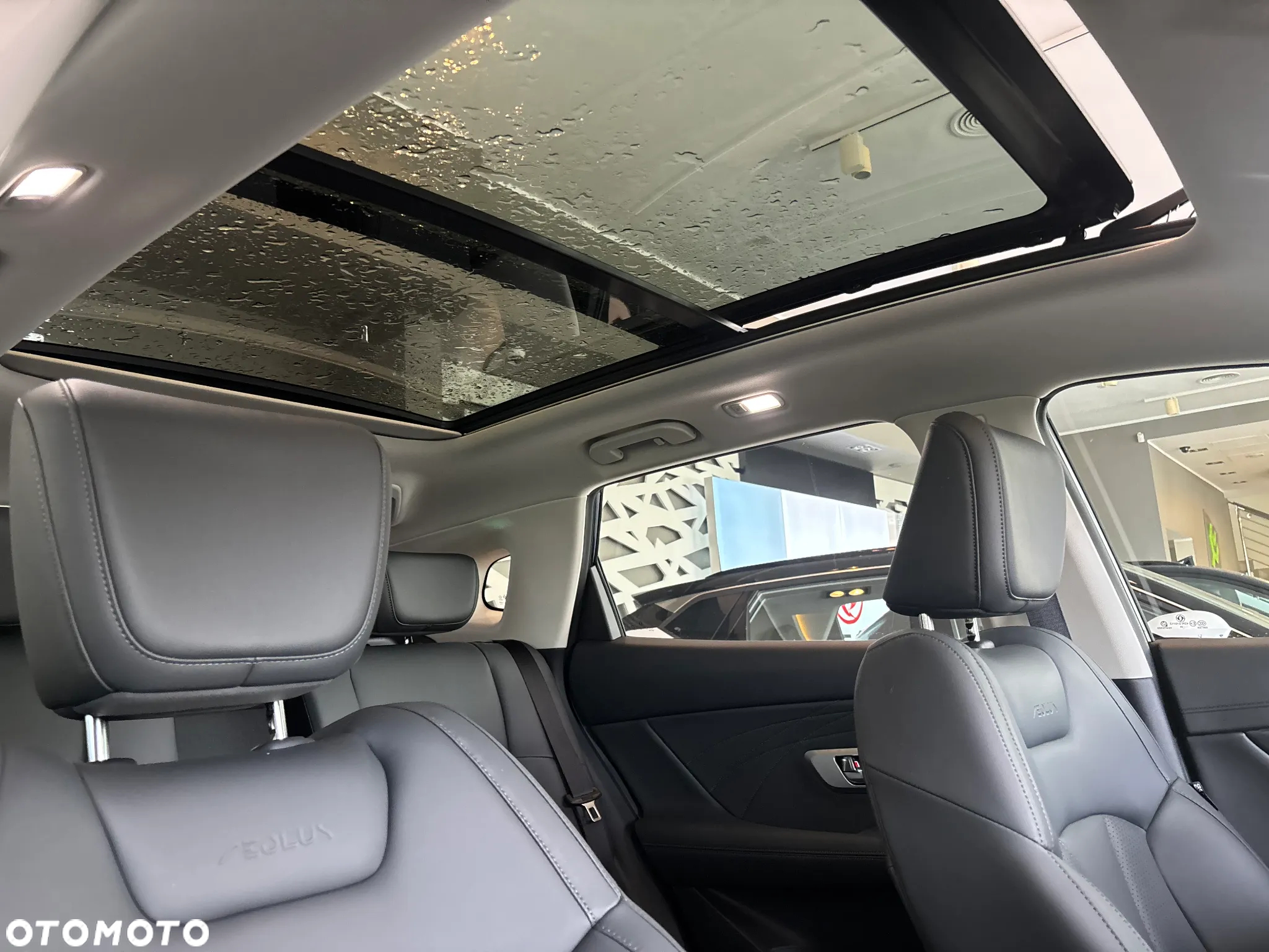 Dongfeng Huge - 16