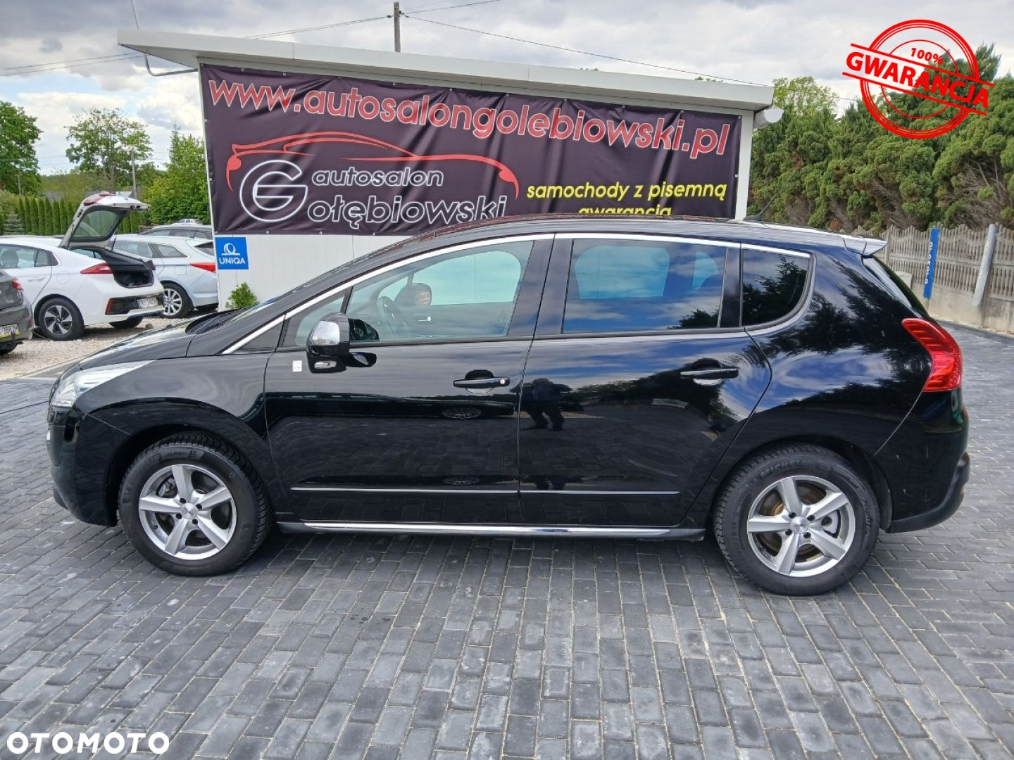 Peugeot 3008 - 18